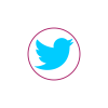 social media icons for mashwara web-03
